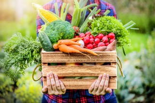 bac de légumes bon pour la fertilité idéal pour une bonne alimentation avant grossesse.