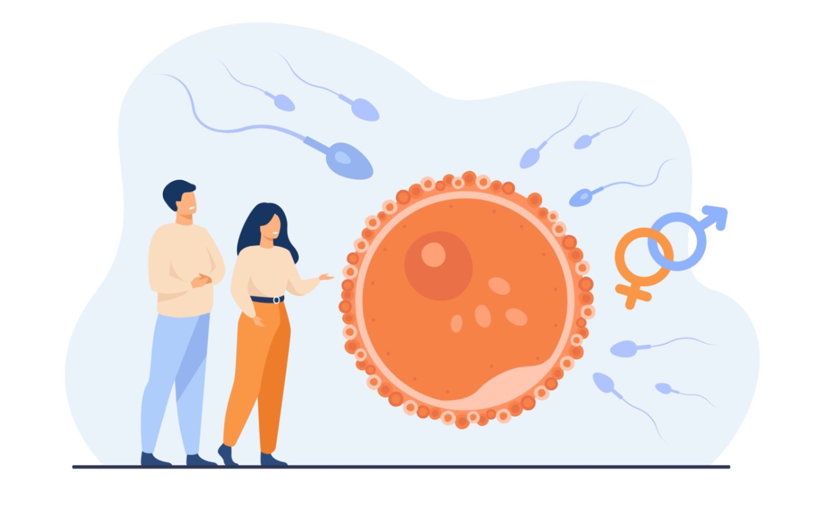 Visualisation symbolique d'une reproduction humaine saine, représentant le concept de fertilité, en lien avec la gestion de la fertilité, le cycle menstruel et la symptothermie.