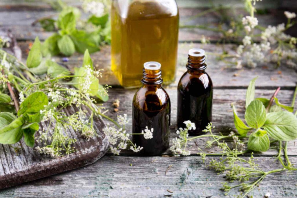 Plantes médicinales en phytothérapie, offrant des solutions naturelles dans l'accompagnement fausse couche par la naturopathie.