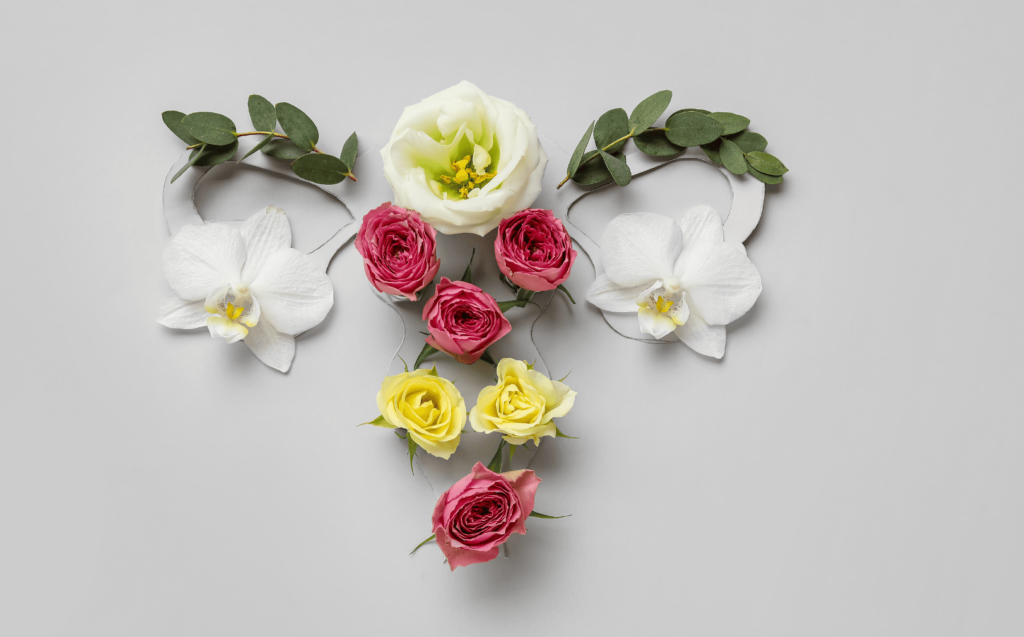 Utérus représenté avec des fleurs, évoquant les bienfaits de la contraception naturelle par les plantes et la méthode symptothermique pour la santé reproductive